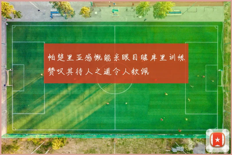 帕楚里亚感慨能亲眼目睹库里训练赞叹其待人之道令人钦佩