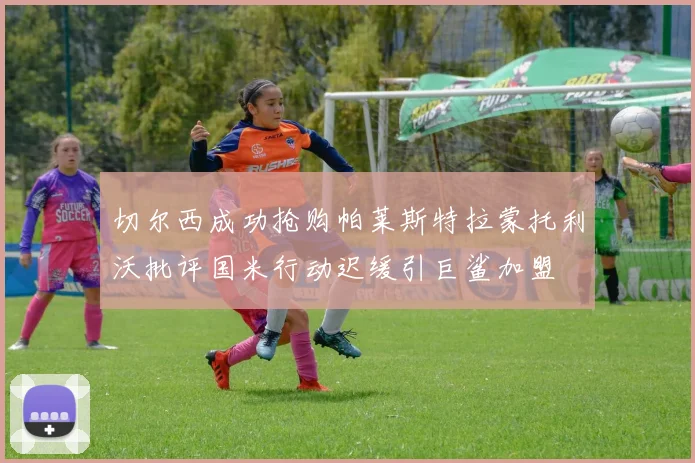 切尔西成功抢购帕莱斯特拉蒙托利沃批评国米行动迟缓引巨鲨加盟